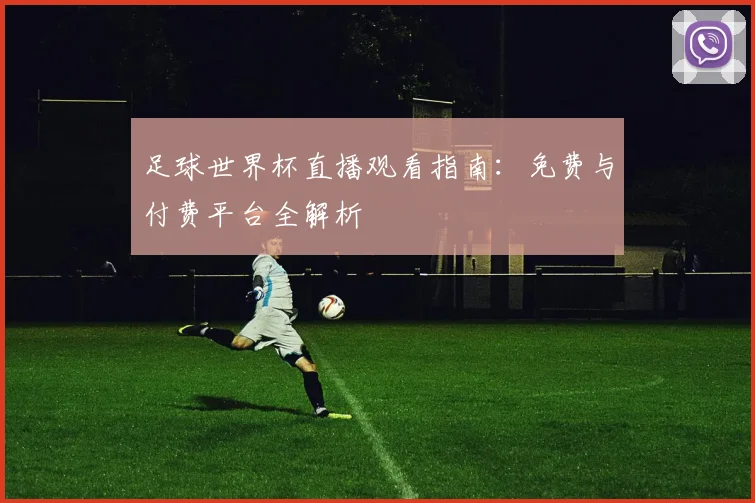 足球世界杯直播观看指南：免费与付费平台全解析