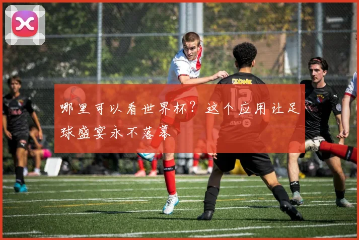 哪里可以看世界杯？这个应用让足球盛宴永不落幕