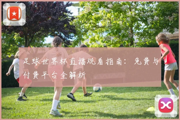 足球世界杯直播观看指南：免费与付费平台全解析