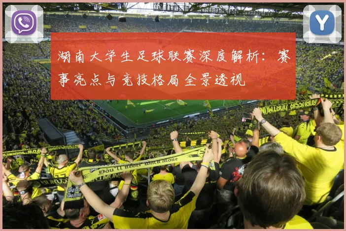 湖南大学生足球联赛深度解析：赛事亮点与竞技格局全景透视